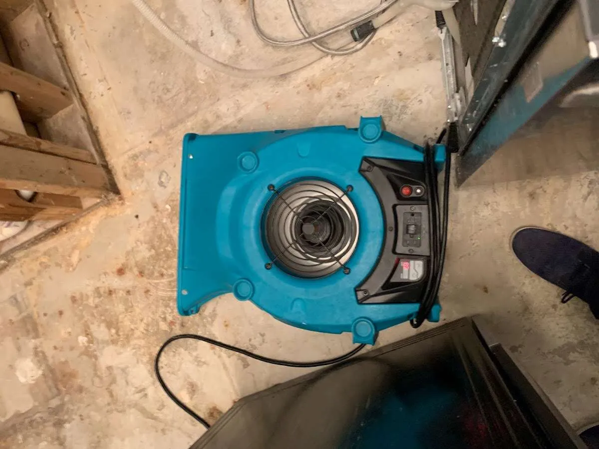Air mover drying equipment for Mold Remediation & Removal in Brookhaven